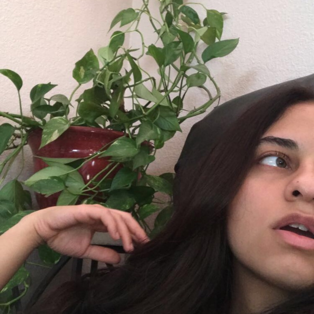 Meet your Posher, Anacelia